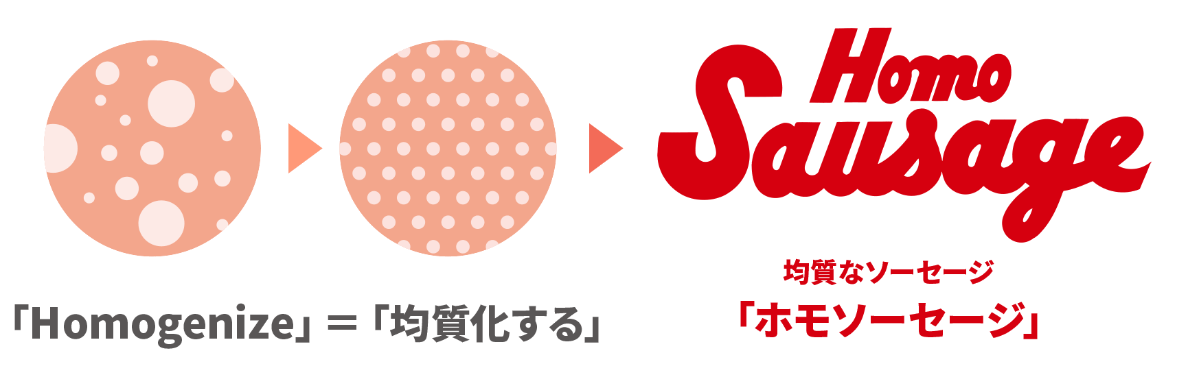「Homogenize」＝「均質化する」＞均質なソーセージ「ホモソーセージ」